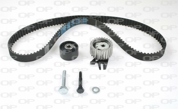 Timing Belt Kit (TBK5110.01)