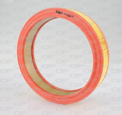 Air Filter (EAF3070.20)