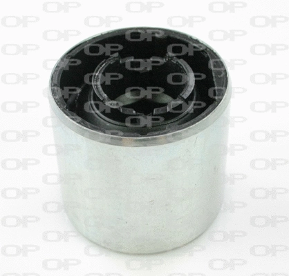 Mounting, control/trailing arm (SSS1018.11)