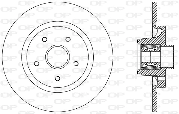 Brake Disc (BDA2509.30)