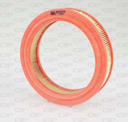 Air Filter (EAF3223.20)
