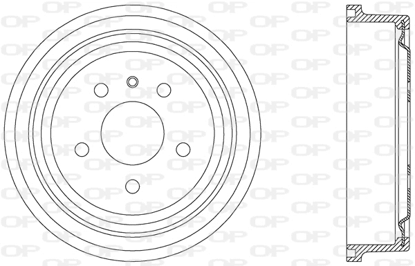 Brake Drum (BAD9050.20)