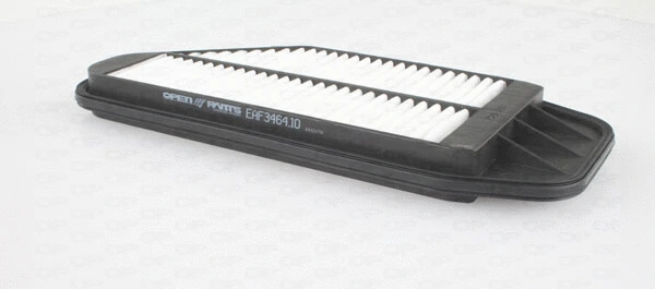 Air Filter (EAF3464.10)