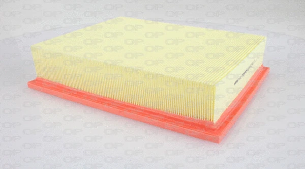 Air Filter (EAF3238.10)