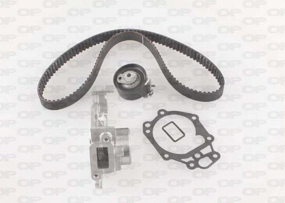 Water Pump & Timing Belt Kit (WTBK5005.00)