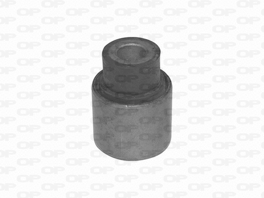Mounting, control/trailing arm (SSS1134.11)