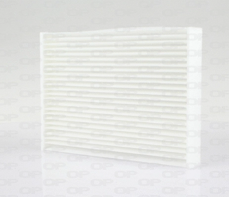 Filter, cabin air (CAF2289.01)