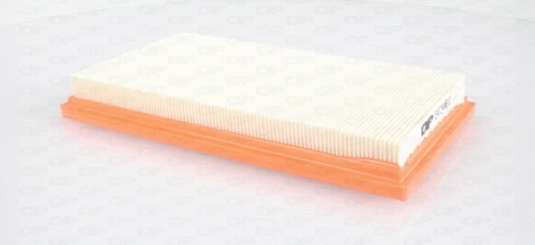 Air Filter (EAF3496.10)