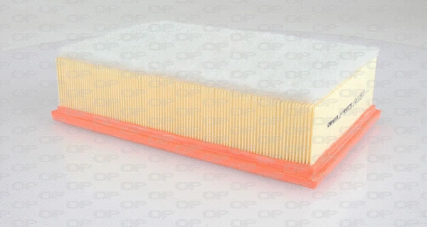 Air Filter (EAF3286.10)