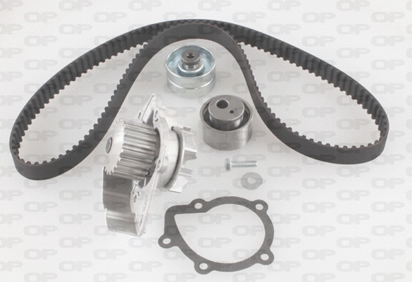 Water Pump & Timing Belt Kit (WTBK5004.00)