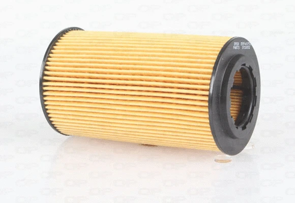 Oil Filter (EOF4079.10)