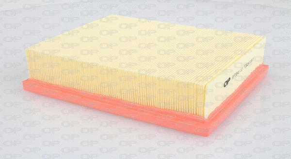 Air Filter (EAF3043.10)