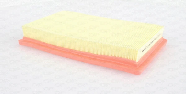 Air Filter (EAF3606.10)