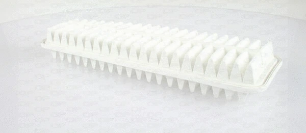 Air Filter (EAF3515.10)