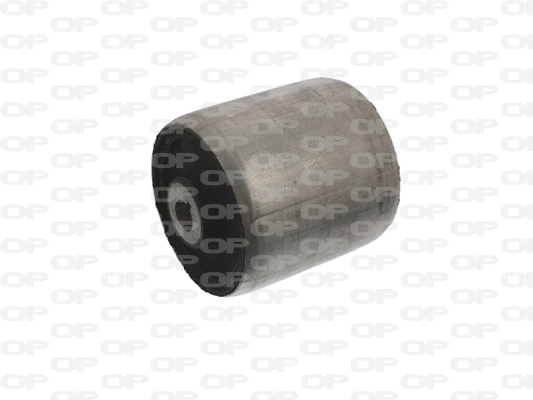 Mounting, control/trailing arm (SSS1152.11)