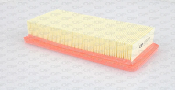 Air Filter (EAF3236.10)