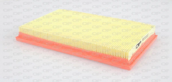Air Filter (EAF3165.10)