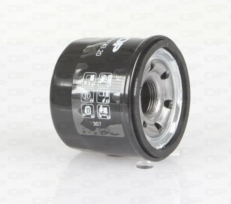 Oil Filter (EOF4143.20)