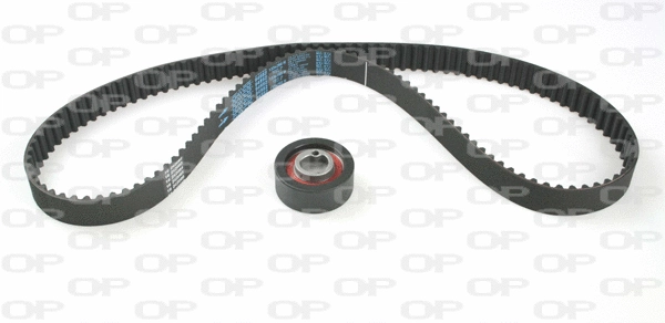 Timing Belt Kit (TBK5134.00)