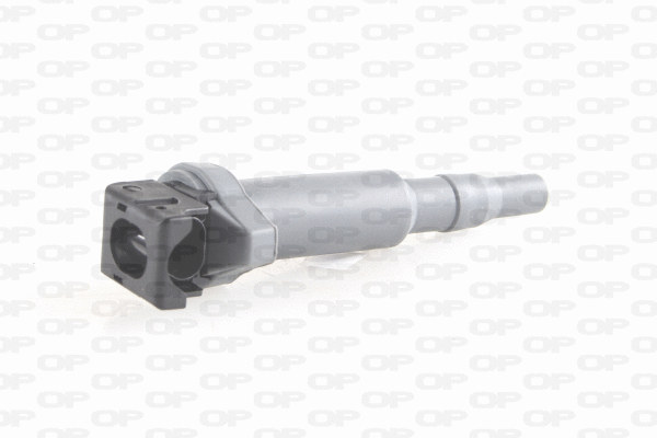 Ignition Coil (IGN1014.00)