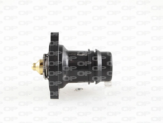 Thermostat, coolant (TRM1143.00)
