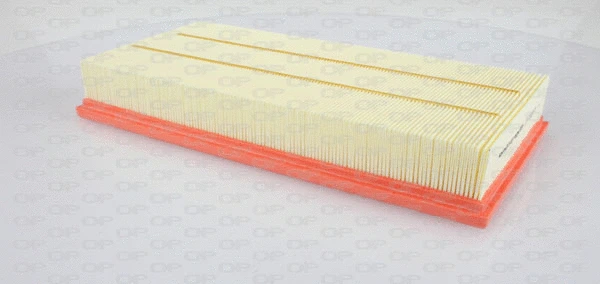 Air Filter (EAF3152.10)