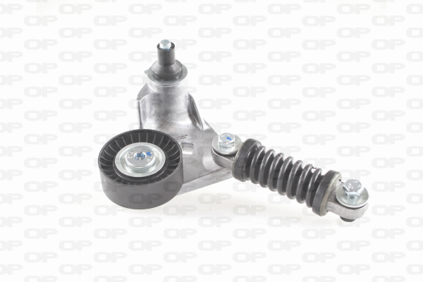 Belt Tensioner, V-ribbed belt (ACT2160.00)