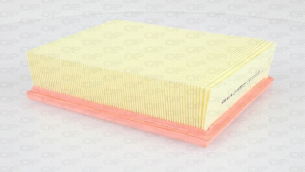 Air Filter (EAF3399.10)