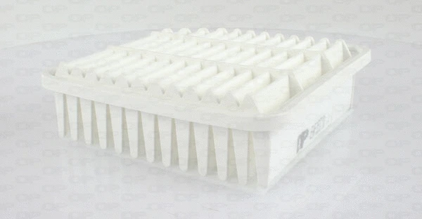 Air Filter (EAF3517.10)