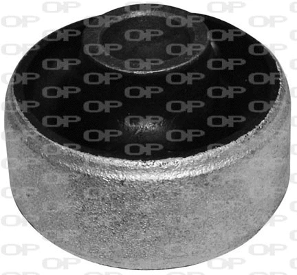 Mounting, control/trailing arm (SSS1017.11)