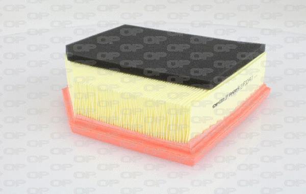 Air Filter (EAF3254.10)