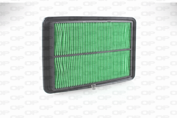 Air Filter (EAF3735.10)