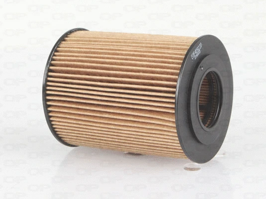 Oil Filter (EOF4092.10)