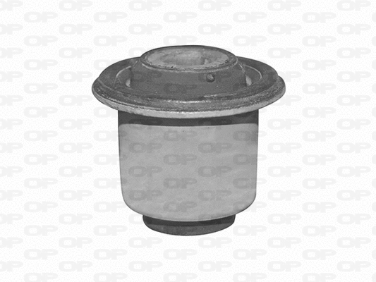 Mounting, control/trailing arm (SSS1135.11)