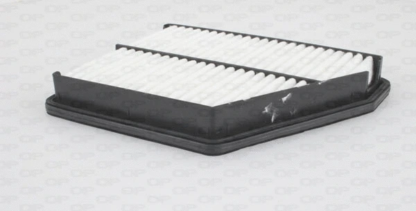 Air Filter (EAF3372.10)