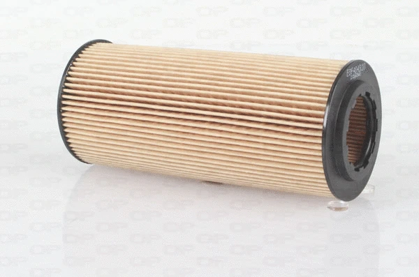 Oil Filter (EOF4043.10)