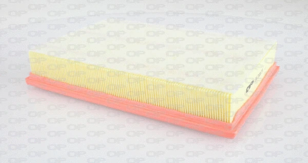 Air Filter (EAF3185.10)
