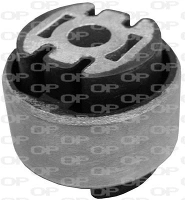 Mounting, control/trailing arm (SSS1079.11)