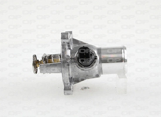 Thermostat, coolant (TRM1096.00)