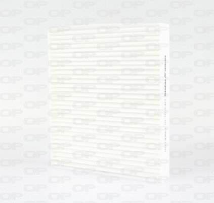 Filter, cabin air (CAF2101.01)