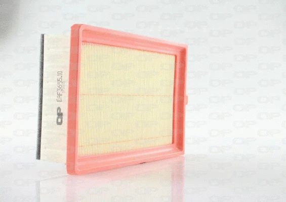 Air Filter (EAF3655.10)