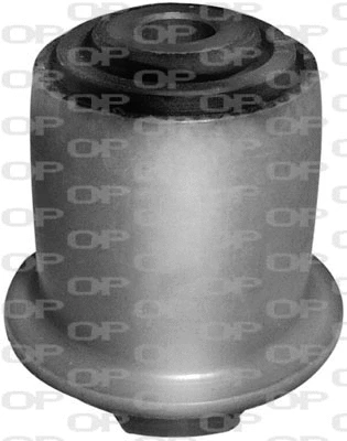 Mounting, control/trailing arm (SSS1022.11)