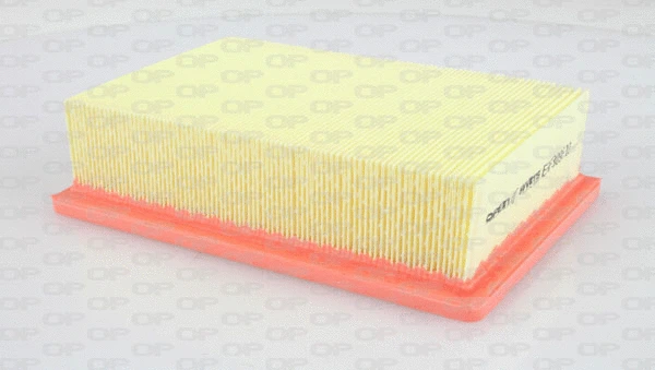 Air Filter (EAF3096.10)
