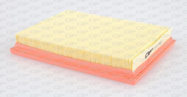 Air Filter (EAF3040.10)