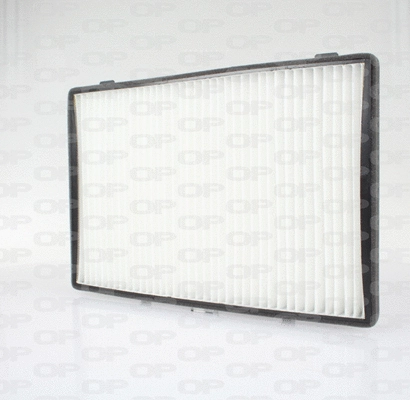 Filter, cabin air (CAF2171.01)