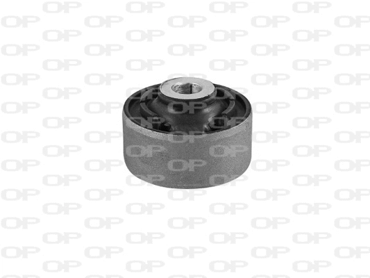 Mounting, control/trailing arm (SSS1117.11)