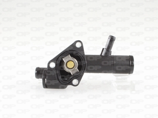 Thermostat, coolant (TRM1055.00)