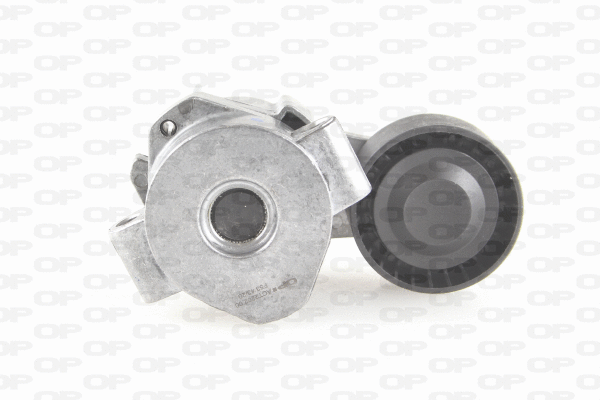 Belt Tensioner, V-ribbed belt (ACT2202.00)