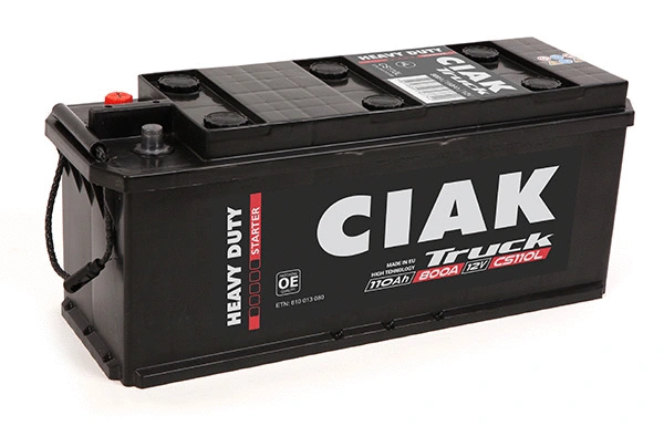Starter Battery (CS110L)