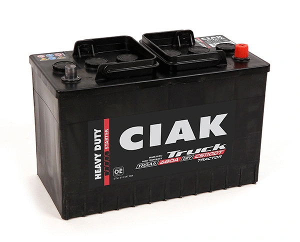 Starter Battery (CS110DT)